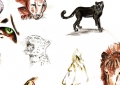 Crayons HB, couleurs, aquarelles, metaliques, Mine de Plomb, Fusain Medley Felins - 2008