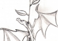 Dragon Rose - Mine de plomb - 2007