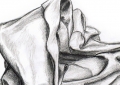 Drapé - Crayon HB Mine de plomb et Fusain - 2008