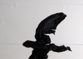 Guernica y luno - Piafs - 2009