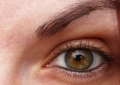 Mon oeil thermomètre - 2009