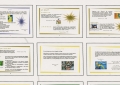 Livret de 35 pages Convertion de publisher à indesign - 2004